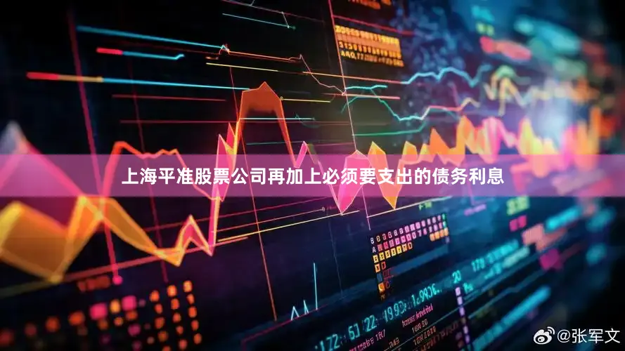 上海平准股票公司再加上必须要支出的债务利息