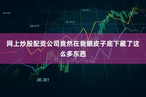 网上炒股配资公司竟然在我眼皮子底下藏了这么多东西