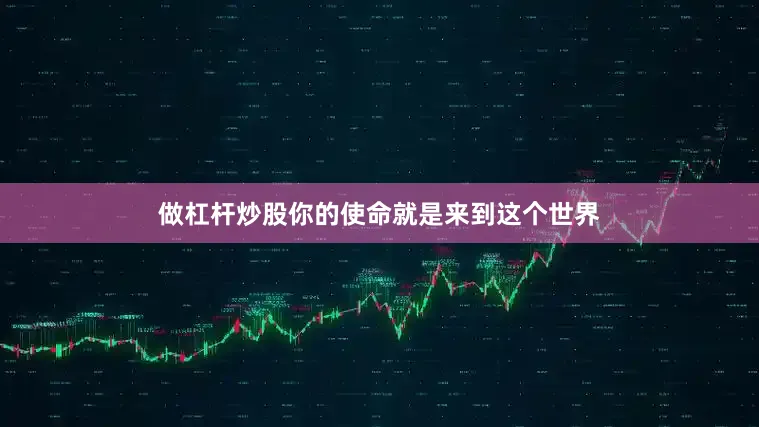 做杠杆炒股你的使命就是来到这个世界