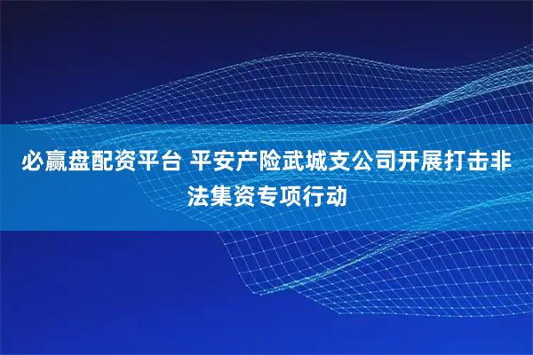 必赢盘配资平台 平安产险武城支公司开展打击非法集资专项行动